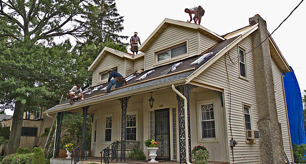Best Roof Gutter Cleaning  in Tillamook, OR